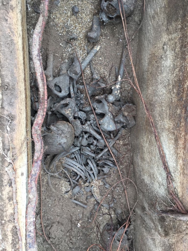 1700 yıllık lahiti satmak isterken yakalandılar